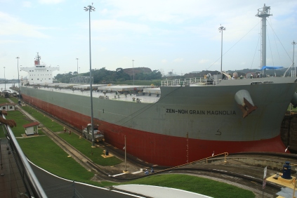 A grain ship transiting the first lock at Miraflores